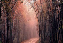 豪门国际:【图解】快看!国家出手大力优化消费环境→.