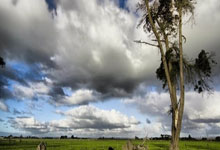 豪门国际注册:英超聯賽中單賽季解雇主教練的記錄是多少?.