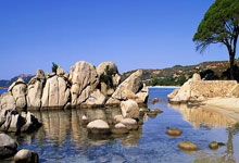 豪门国际注册:RMC發布21世紀法甲前鋒排名:姆巴佩、伊布、卡瓦尼、本澤馬入第一檔!.